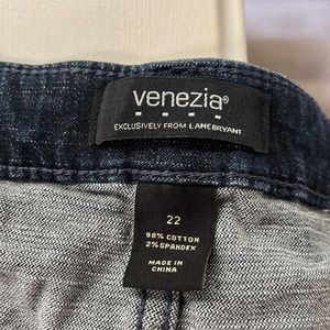 Venezia/Lane Bryant jean